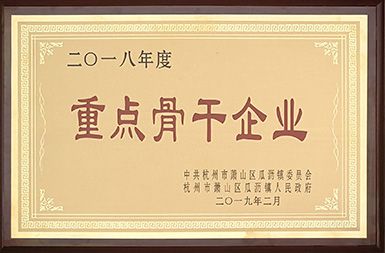 荣誉证书展示