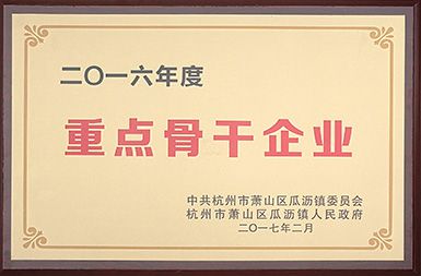 荣誉证书展示